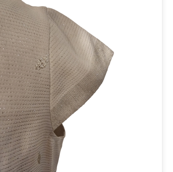 White Dress with Silver Embroidered Pattern and Silver Tassel at Bottom - Picture 5 of 10